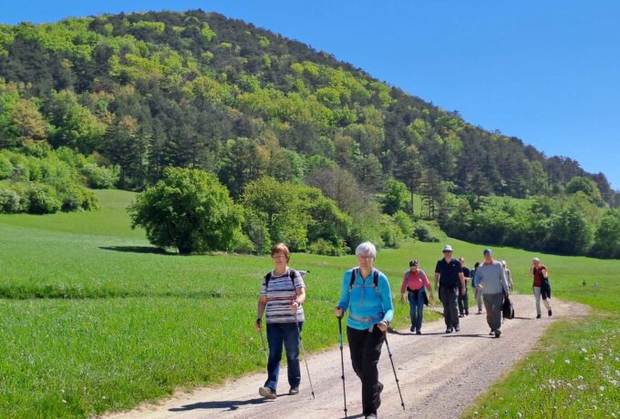 Auf dem Weg