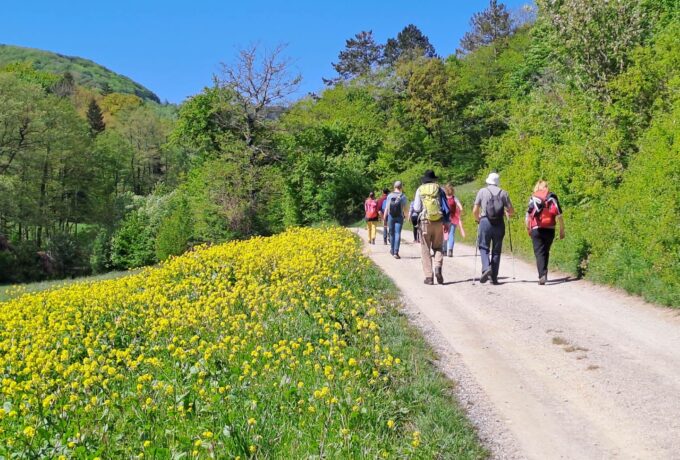 Auf dem Weg